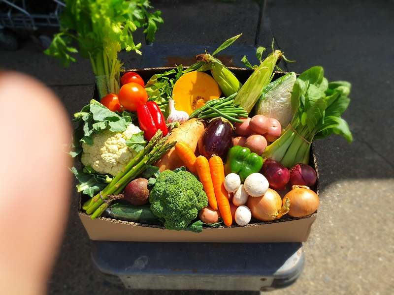 Fresh Vegetables Box • Fruit & Vegetables Home Delivery Fruit Wagon